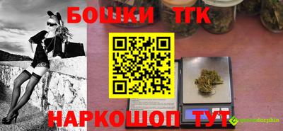 шишки Аргун