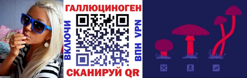 Галлюциногенные грибы GOLDEN TEACHER Белореченск