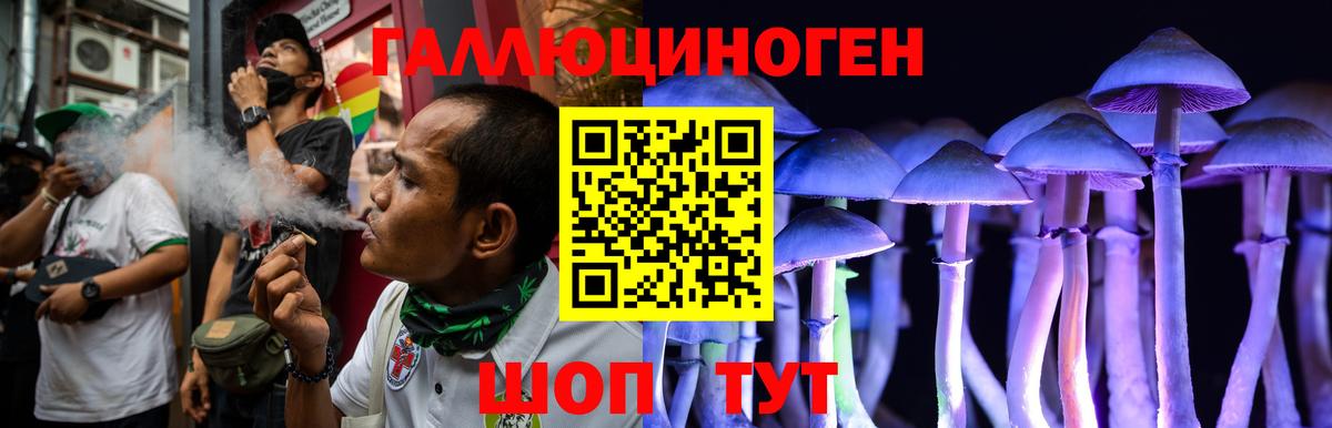 Псилоцибиновые грибы ЛСД  Вход с VPN  Псилоцибиновые грибы ЛСД  Белореченск 