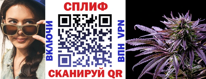 Шишки марихуана гибрид  как найти закладки  Белореченск 