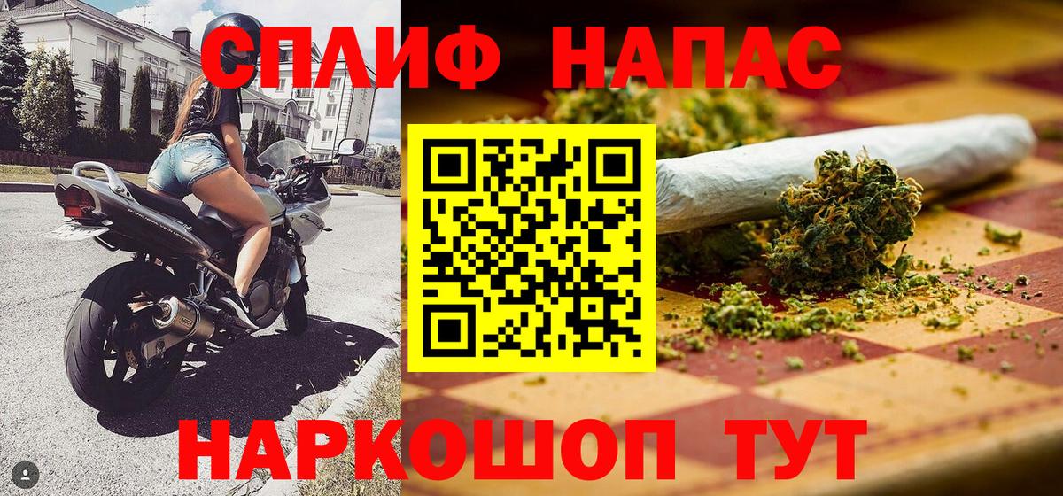 Бошки марихуана гибрид  Белореченск  Шишки марихуана план  Конопля сатива 